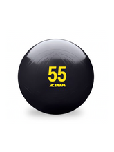 Pelota Fitness - ZIVA Essential